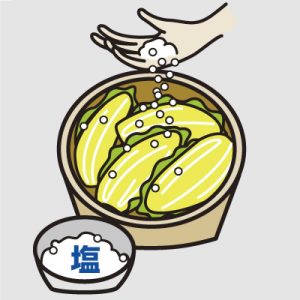 wpお漬物塩っぺ白菜本漬け003